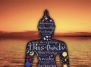 Advaita Vedanta and Consciousness