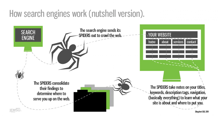 How Search engine work