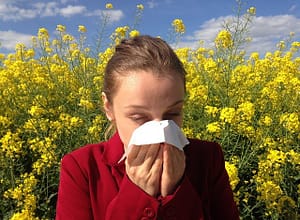 Allergy Tips to Protect, Prevent, and Relieve Discomfort